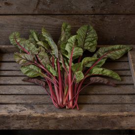 Cardinal, Organic Swiss Chard Seeds